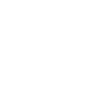 Levin