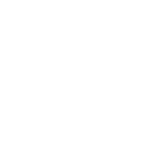 Logo Footer Levin